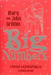 Big Numbers: A Mind-Expanding Trip to Infinity and Back