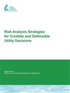 Risk Analysis Strategies For Credible and Defensible Utility Decisions