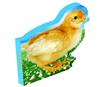 Farm Friends: Chick