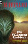 The Wollagong Incident