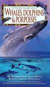 Whales, Dolphins & Porpoises