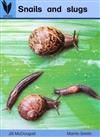 Snails and Slugs (Wings): Reading Recovery Levels 4-5