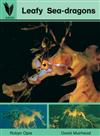 Leafy Sea-Dragons: Reading Recovery Level 7