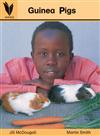 Guinea Pigs (Wings)