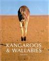 Kangaroos and Wallabies