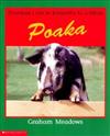 Animals are Not Like Us / Horekau i Rite TE Kararehe Ki a Tatou: Pigs / Poaka
