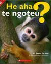 He Aha Te Ngoteu? (What is a Mammal?)