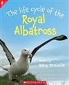 The Life Cycle of the Royal Albatross