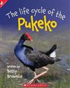 The Life Cycle of the Pukeko