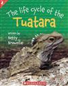 The Life Cycle of the Tuatara