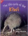 The Life Cycle of the Kiwi