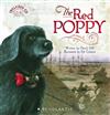 The Red Poppy