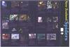 Spiders in New Zealand Wallchart