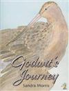 Godwit's Journey