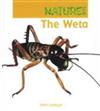 The Weta