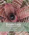 Bromeliads for the Contemporary Garden