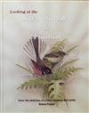 Looking at the Grey Warbler & Fantail