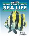 All About New Zealand's Sea Life