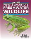 All About New Zealand's Freshwater Wildlife