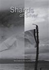 Shards of Sliver: Paul Thompson's Images on Language - New Zealand Poets on Photography