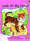 Look at My Home: Pre-reading