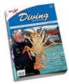 Spot X Diving New Zealand
