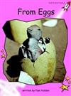 From Eggs: Pre-reading