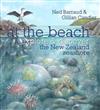 At the Beach: Explore & Discover the New Zealand Seashore