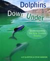 Dolphins Down Under: Understanding the New Zealand Dolphin