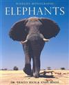 Elephants