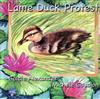Lame Duck Protest