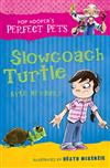 Slowcoach Turtle