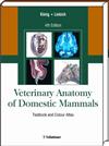 Veterinary Anatomy of Domestic Mammals: Textbook and Colour Atlas