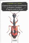 A Natural History of the Ground-beetles Coleoptera: Carabidae of America North of Mexico