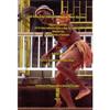 Focus on Dance in Papua New Guinea: Papers From the 2010 International Dance Day Symposium, Held At the University of Goroka