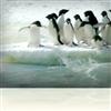 Antarctica
