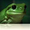 Australia - An Ecological Profile