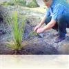 Applying Environmental Science