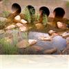 Caring for a Catchment