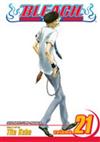 Bleach V21