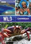 Wild Caribbean